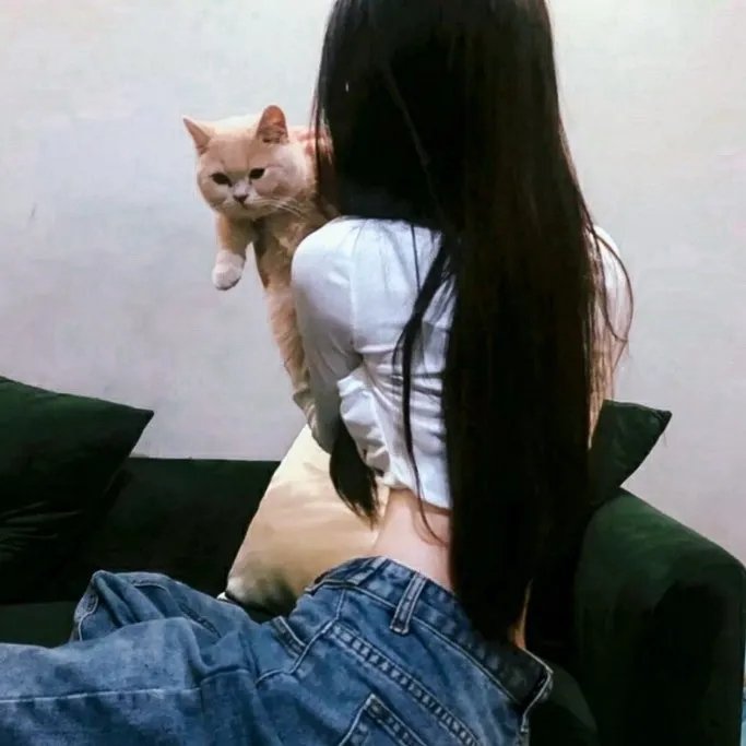 白莲花度假村第二季